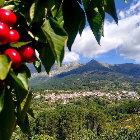 Albareilla By #Cherrygredos เอล อาเรนาล ภายนอก รูปภาพ