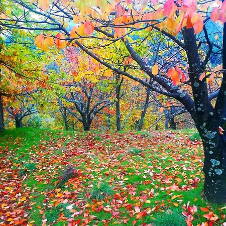 Albareilla By #Cherrygredos เอล อาเรนาล ภายนอก รูปภาพ