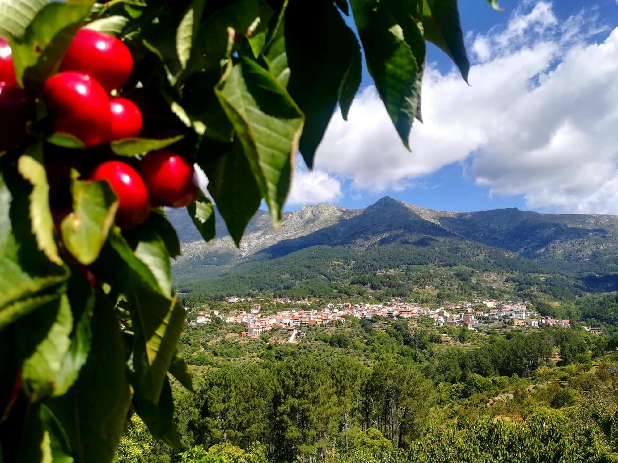 Albareilla By #Cherrygredos เอล อาเรนาล ภายนอก รูปภาพ