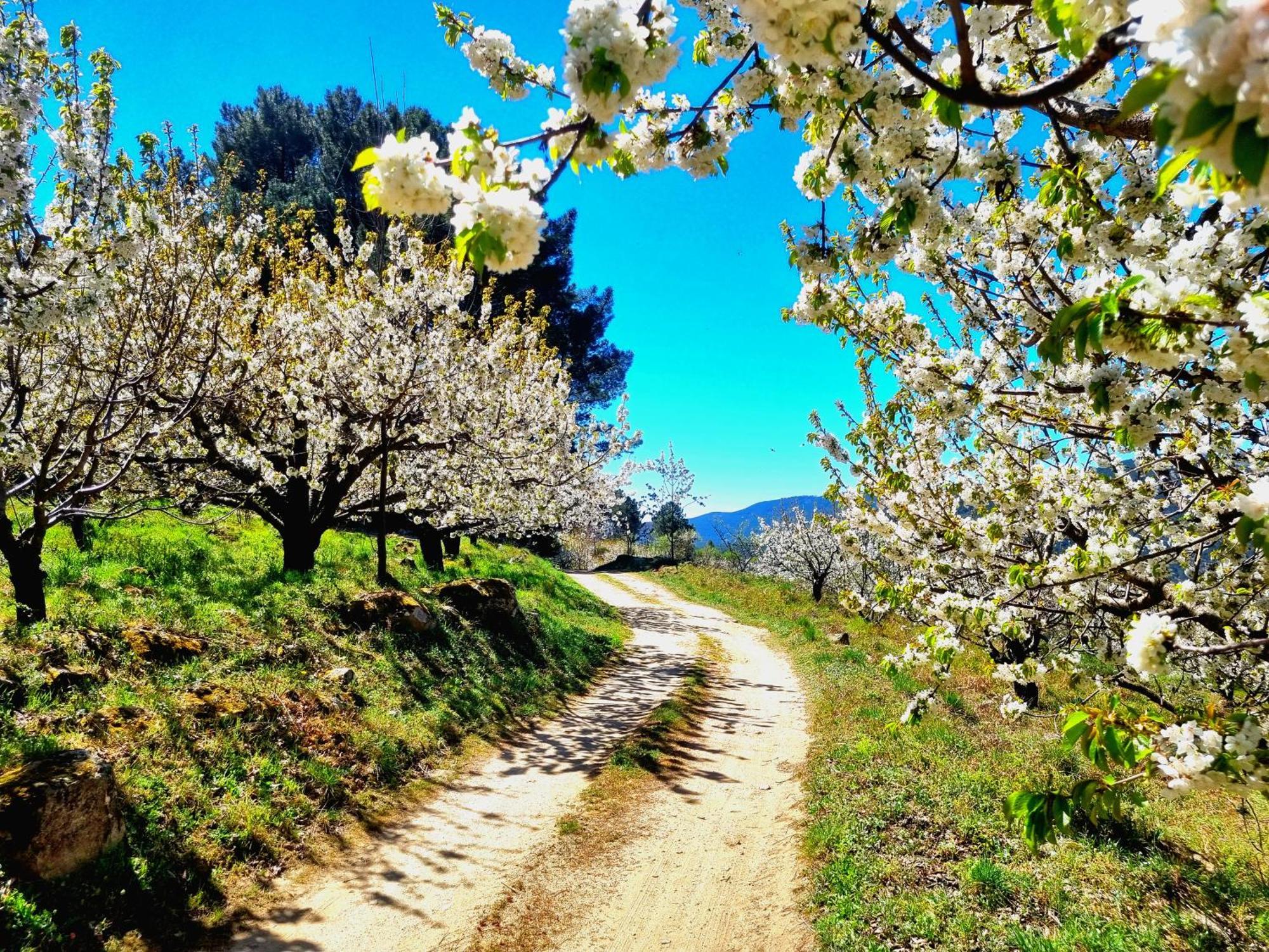 Albareilla By #Cherrygredos เอล อาเรนาล ภายนอก รูปภาพ
