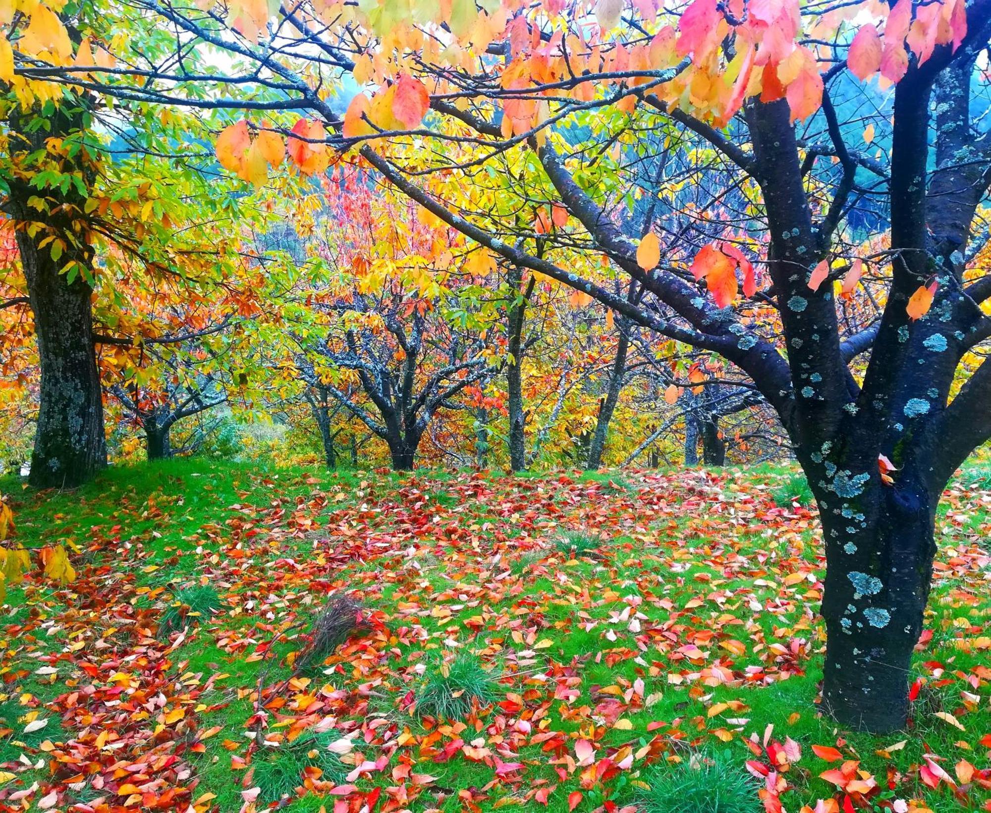 Albareilla By #Cherrygredos เอล อาเรนาล ภายนอก รูปภาพ