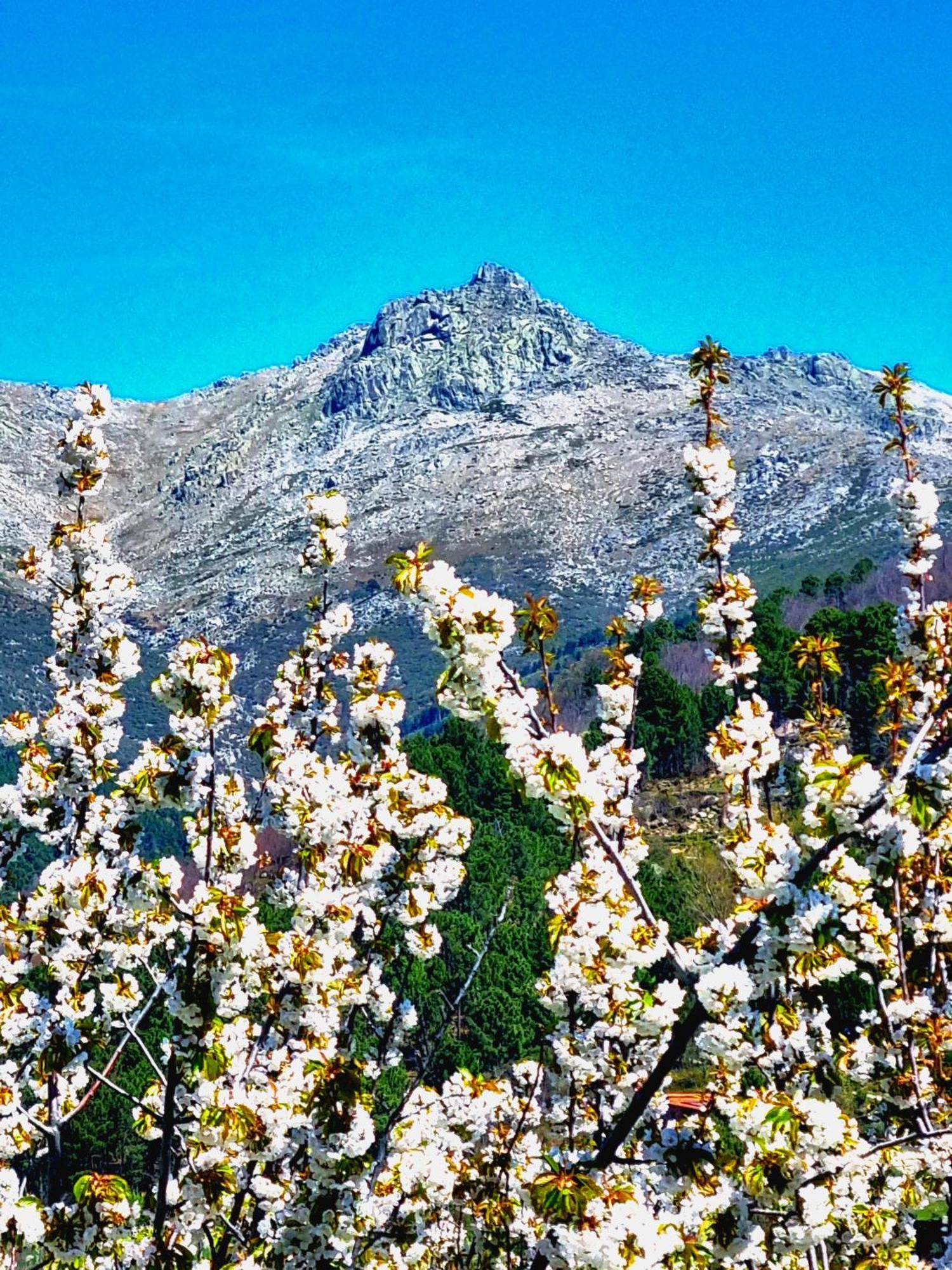 Albareilla By #Cherrygredos เอล อาเรนาล ภายนอก รูปภาพ