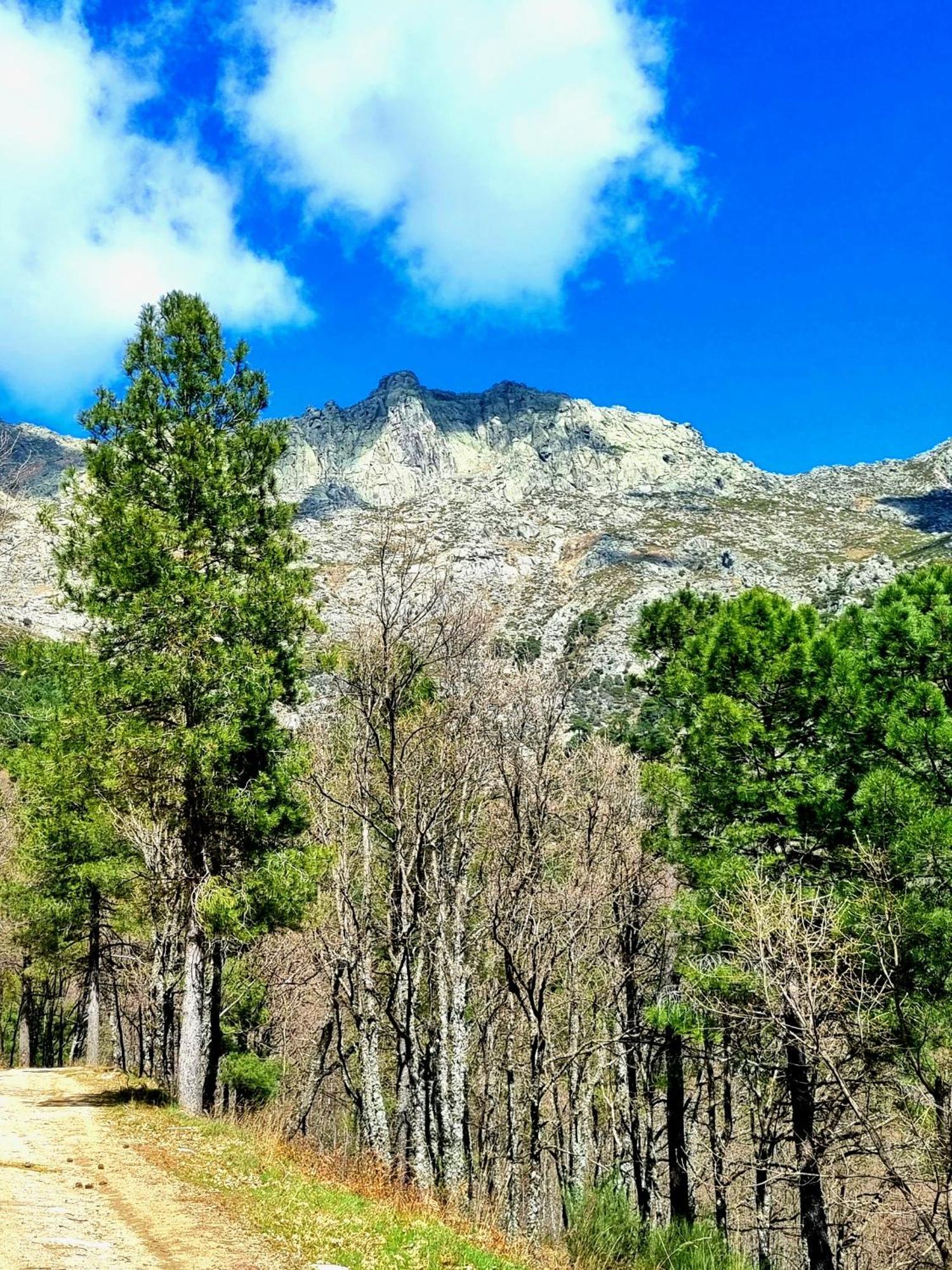 Albareilla By #Cherrygredos เอล อาเรนาล ภายนอก รูปภาพ